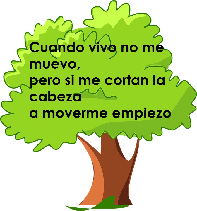 Adivinanza del árbol